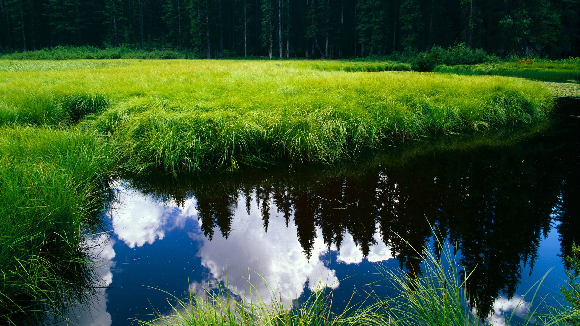 开云网页版-赛场“明星搭档”，最令人羡慕的合作关系，明星赛规则