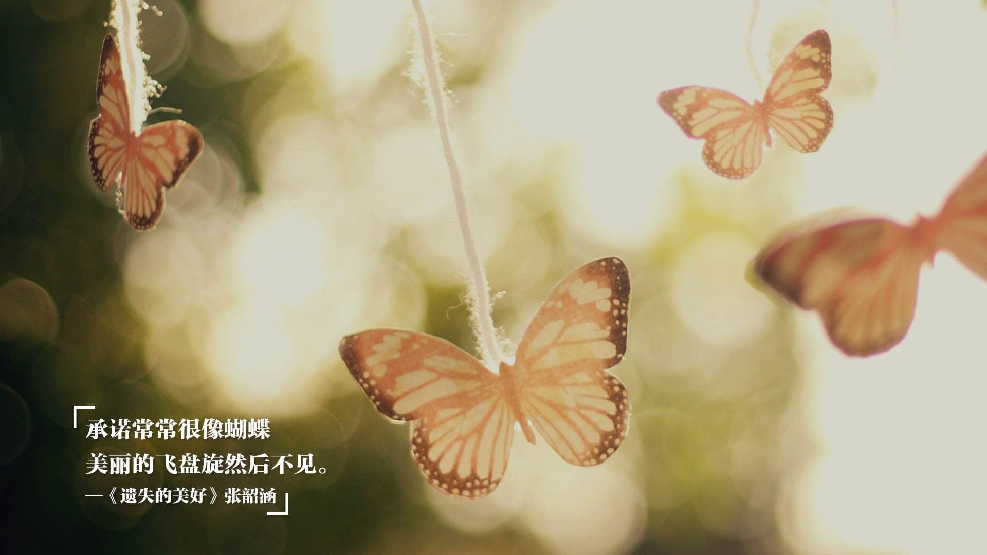 赛季亮点：最激烈的季后赛竞争形势，季后赛然后是什么比赛