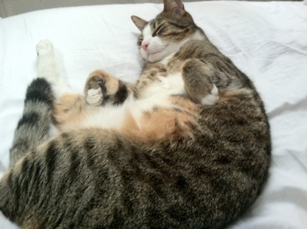 Kaiyun APP-釣魚比赛：静谧中的运动艺术，钓鱼比赛有什么意义