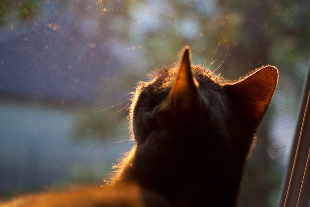 kaiyun官方网站-RNG队员参加国家体育总局体能测试，rng参赛名单