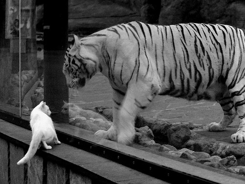 一场胜利，一场梦想！球队积极备战，冲刺冠军，一场胜利,一场梦想!球队积极备战,冲刺冠军英文