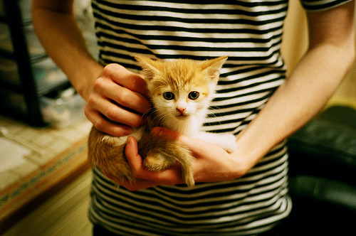 意外之战!澳大利亚女足迎战日本,双方战力对比,澳大利亚女足国家队