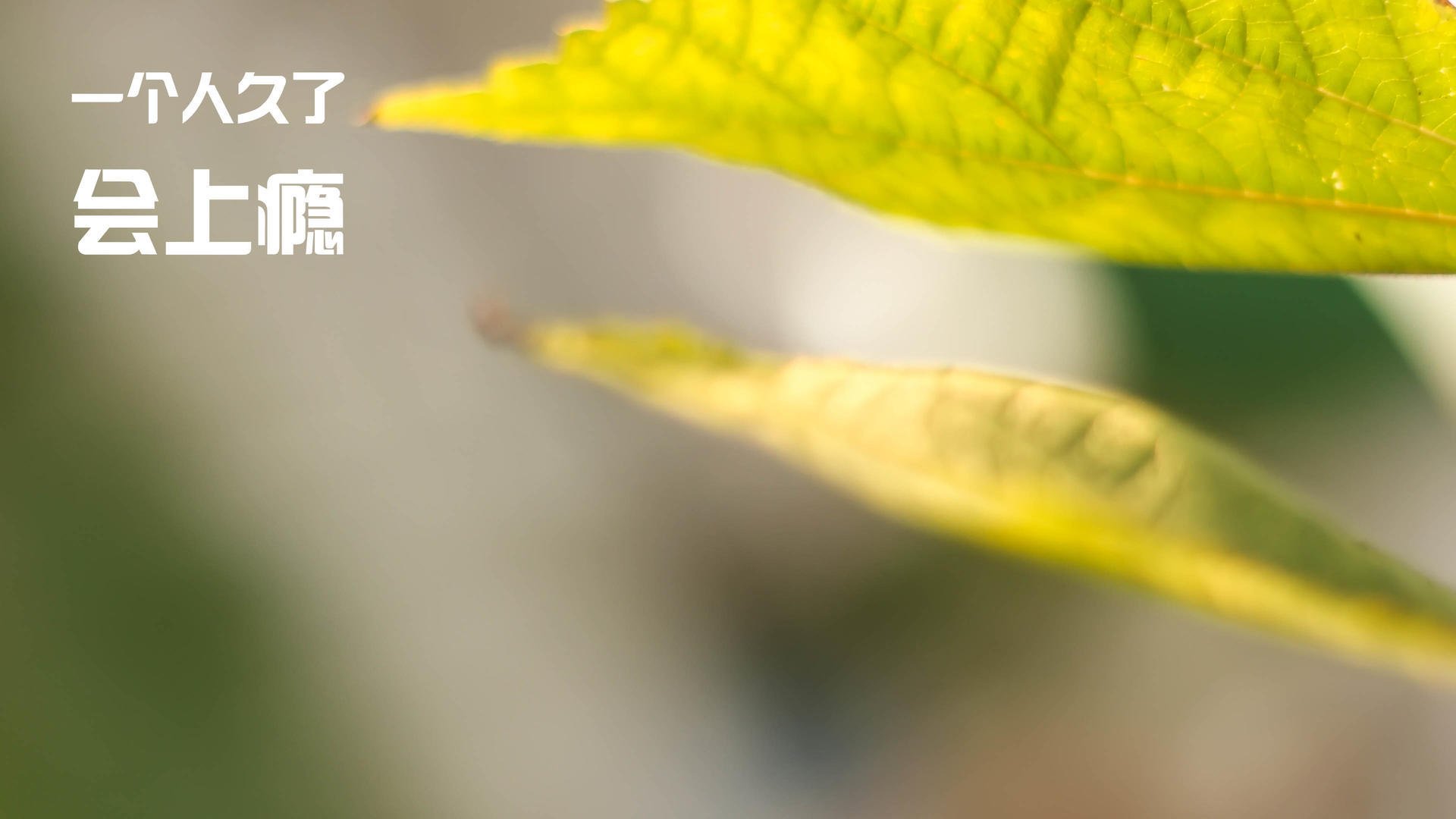 比利亚雷亚尔主场失利，连续败仗加重，比利亚雷亚尔引援