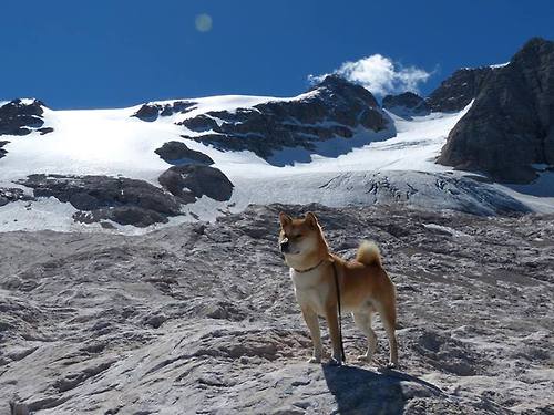 kaiyun官方入口登录-球员是否应有罢赛权利，球员可以拒绝国家队征召吗
