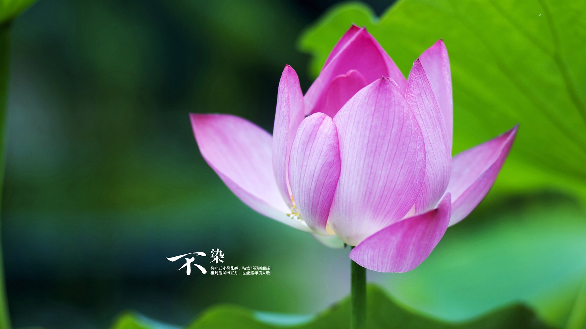 kaiyun开云·官方网站-都灵遭受惨痛失利，劲敌斩获胜利迅速超越，都灵百科