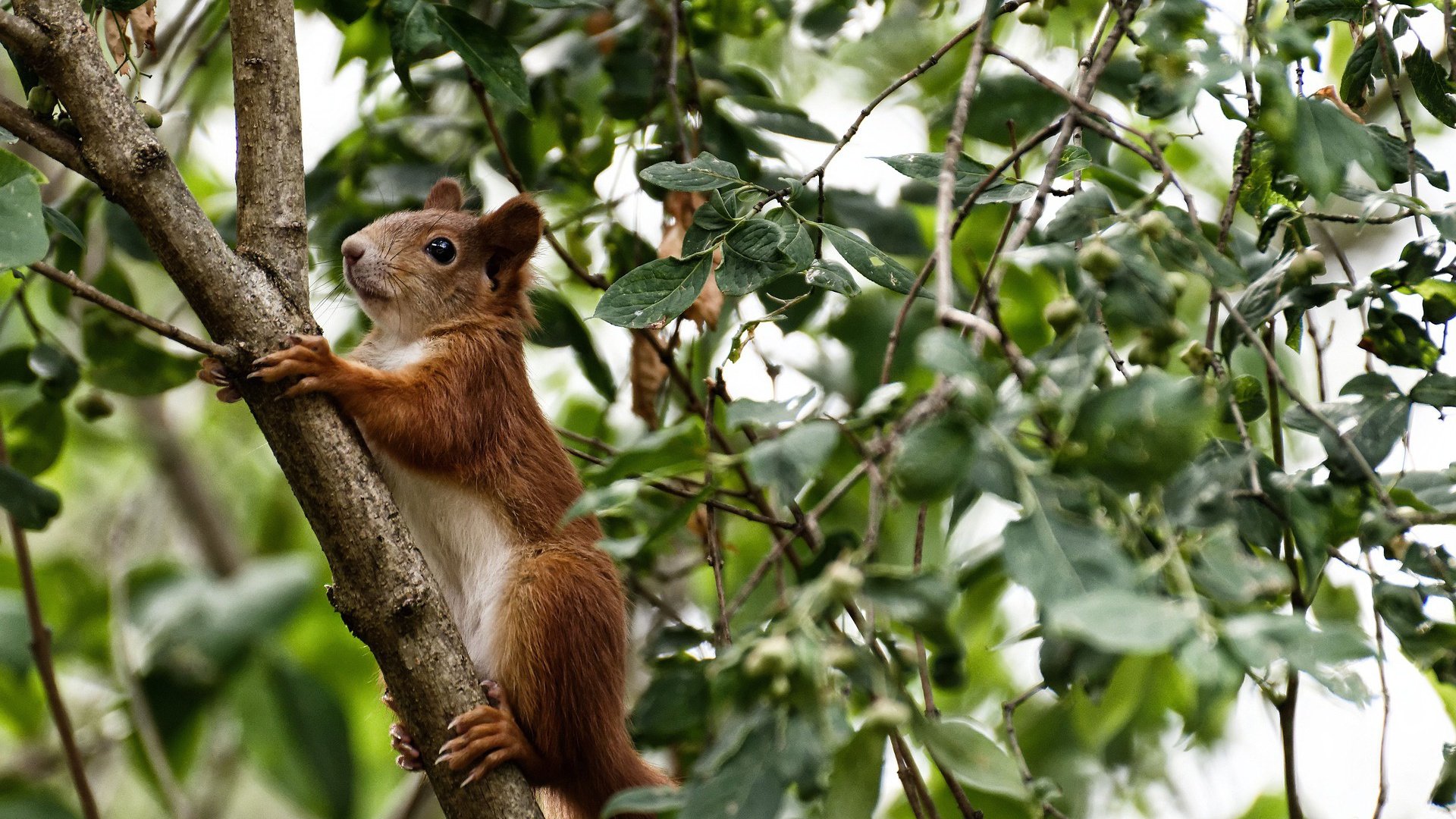 开云官方-出发反应时间成胜负关键