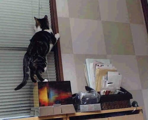 开云·体育官网APP下载-中国足球青少年赛事增加基层参与比重，中国足球青少年赛事增加基层参与比重的措施