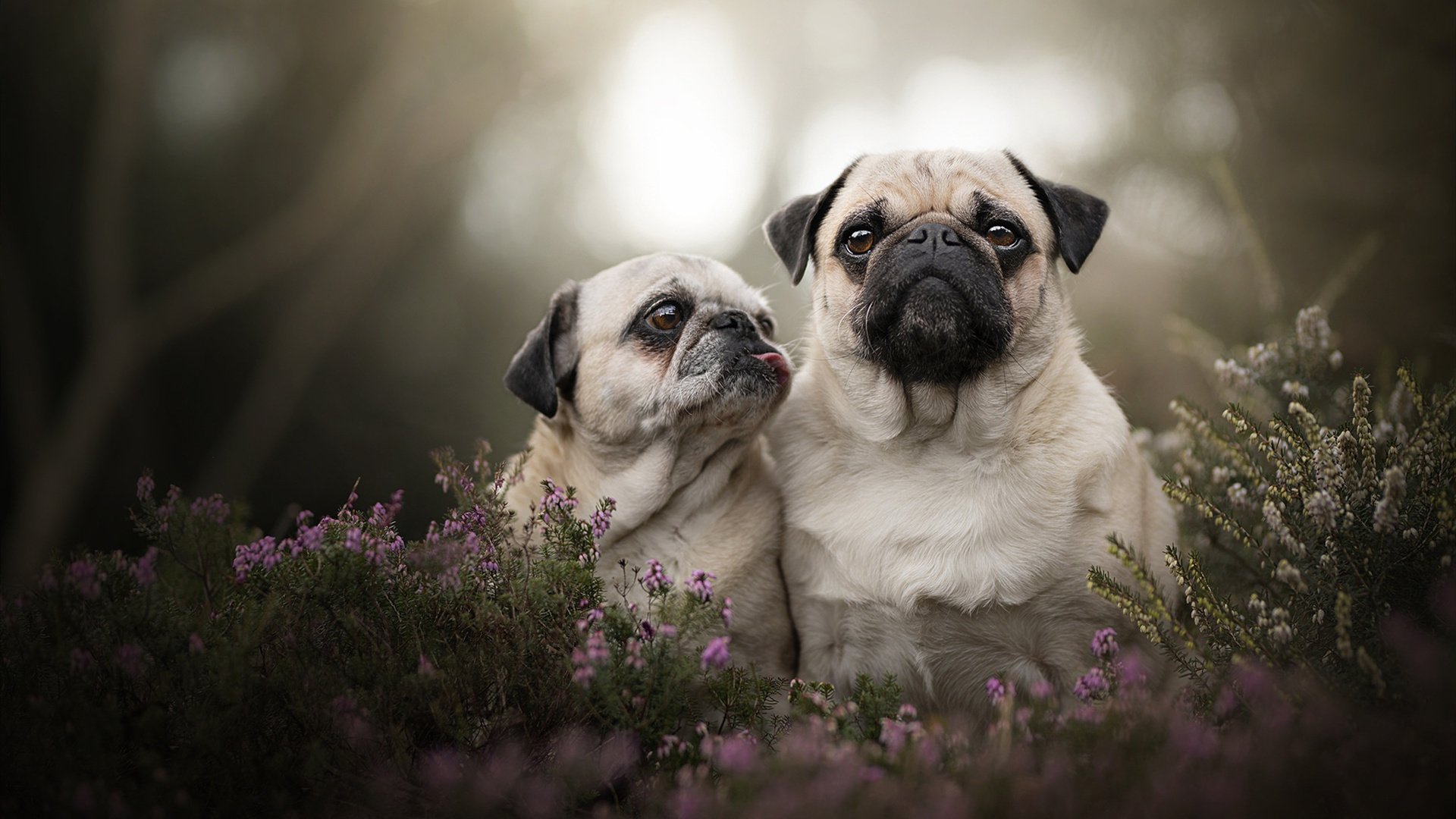 开云网站-国足将帅参观抗战纪念馆弘扬精神，国足参观南京纪念馆