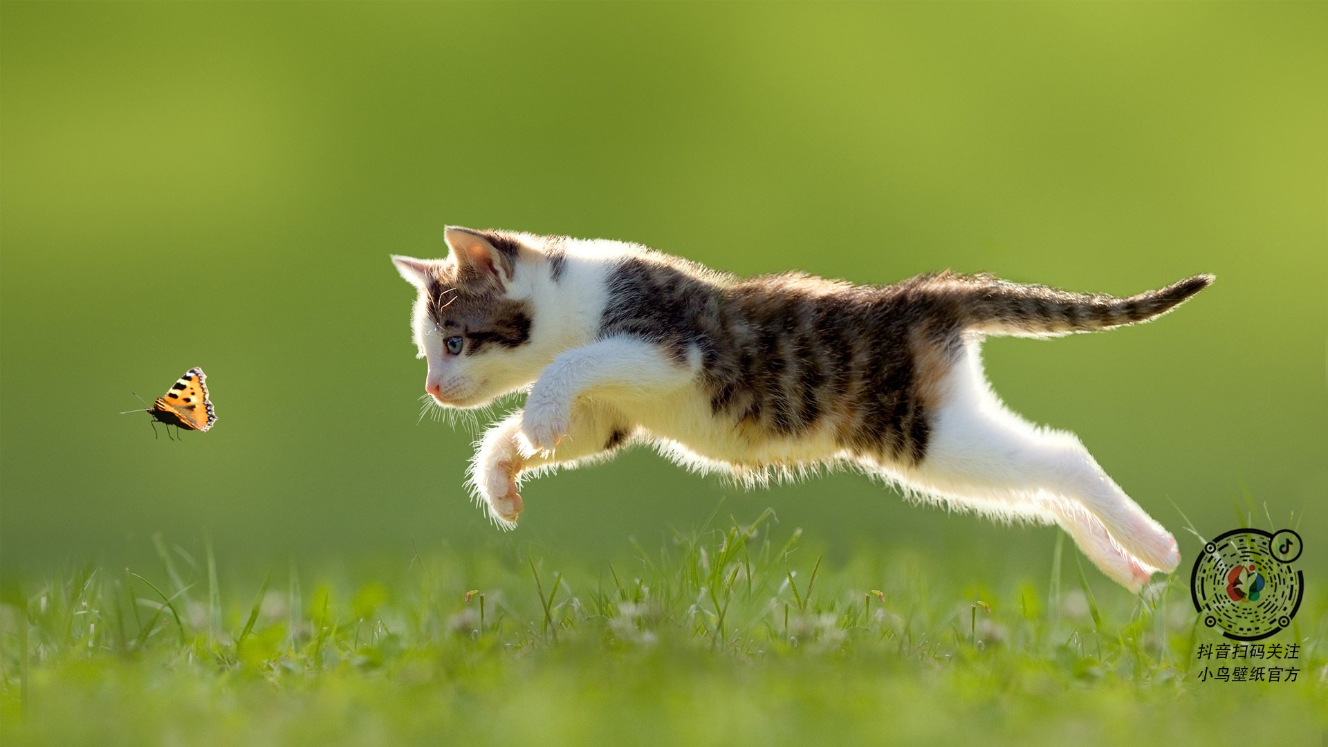 国际拳击锦标赛激烈对决,国际拳击规则