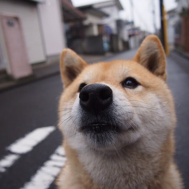 开云网页版-巴黎圣日耳曼稳步跻身榜首，豪取多连胜