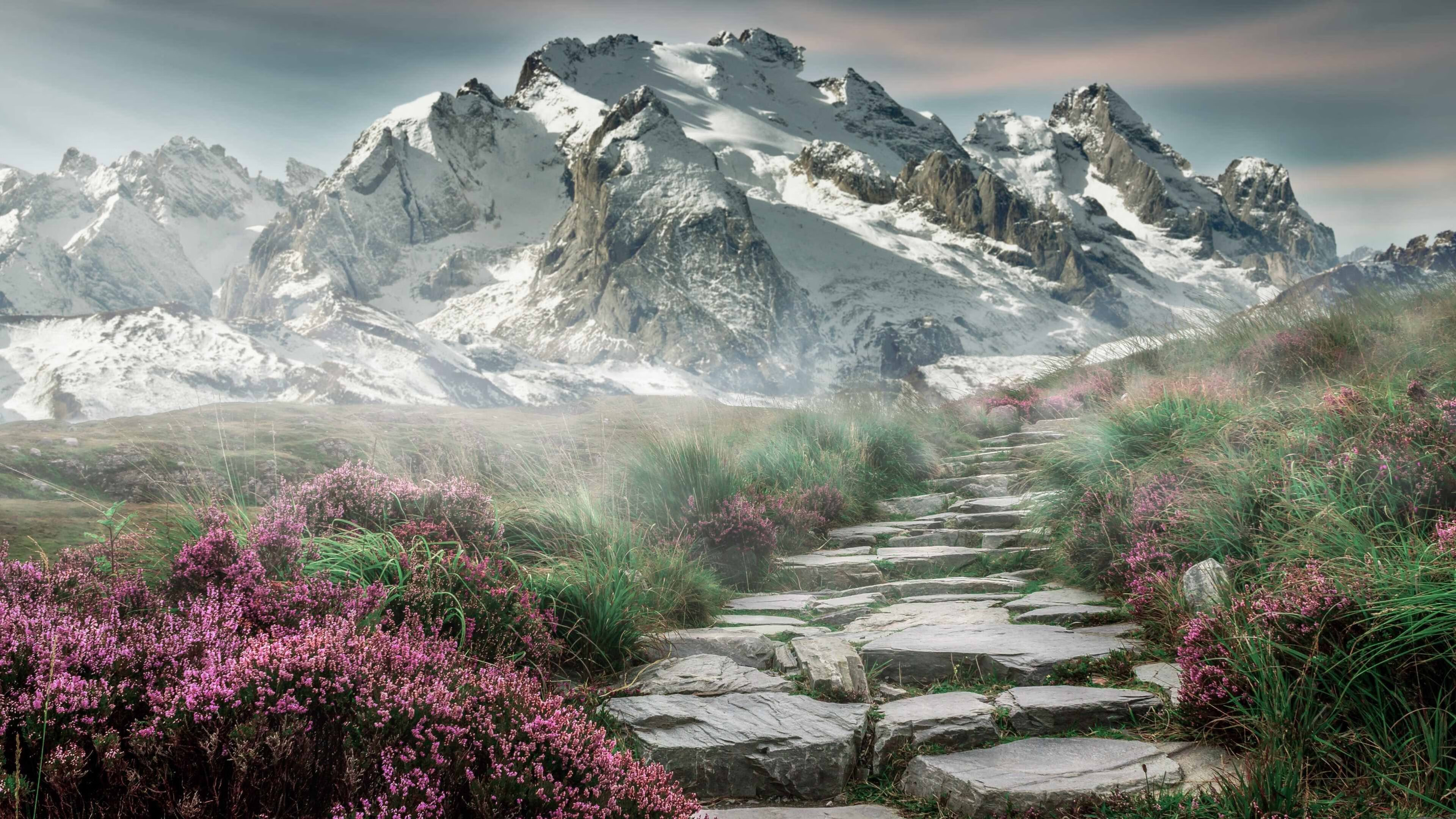 kaiyun官方网站-澳大利亚橄榄球收视率节节攀升，澳大利亚橄榄球比赛规则