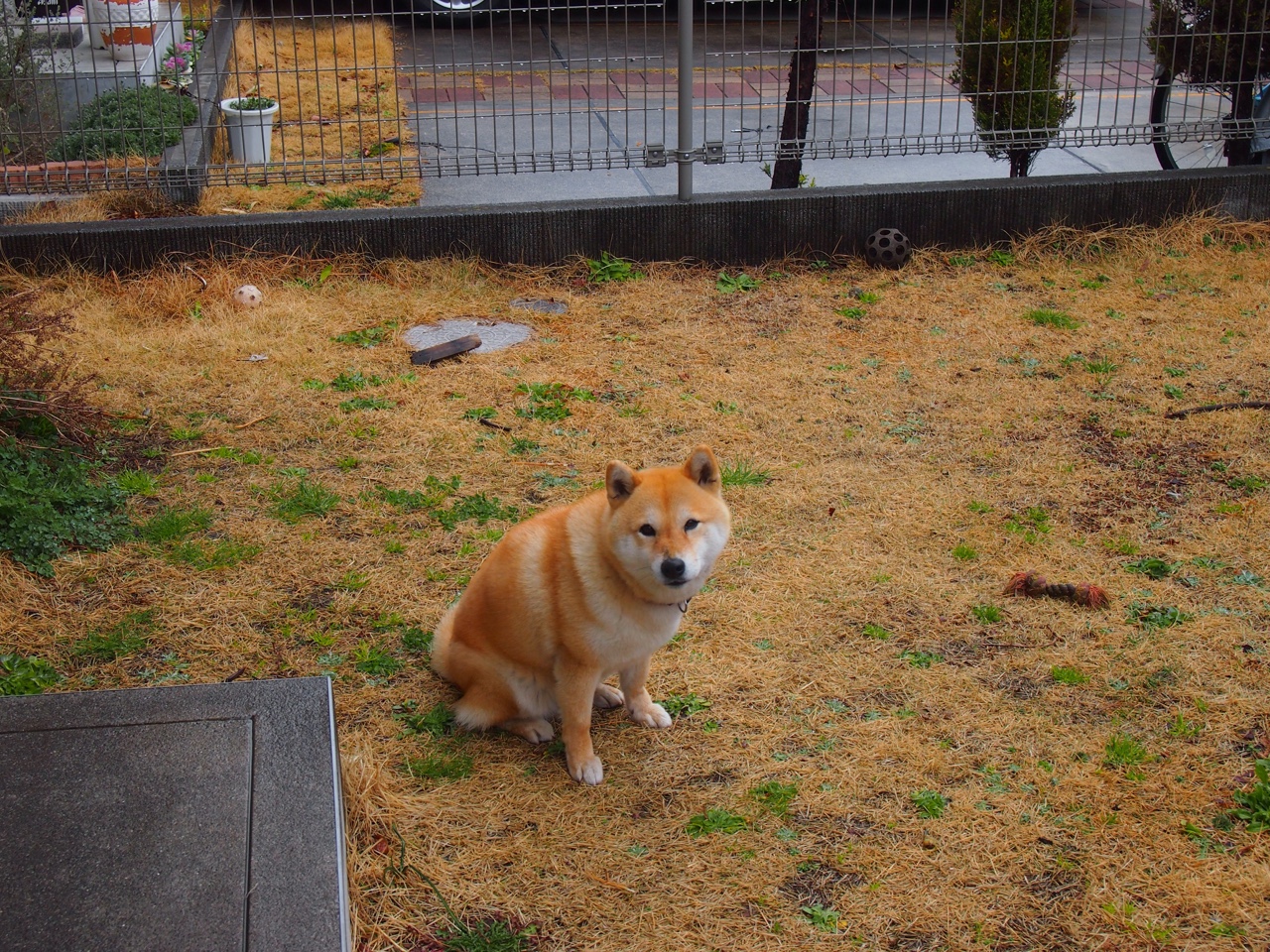 赛事安保力量升级，确保观众与球员安全，赛事安保方案