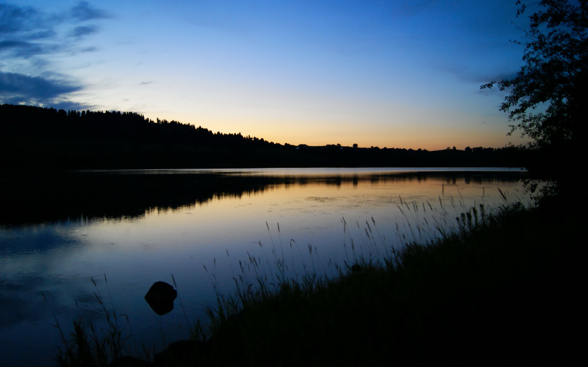青少年篮球营养指导手册发布助力健康成长和运动表现，青少年篮球训练食谱