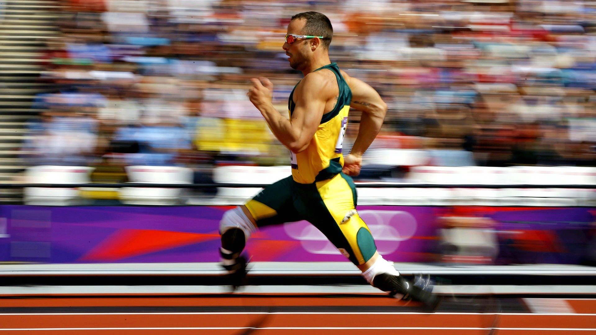 开云平台-_水上飞行秀：速度与优雅的运动展演_，水上飞项目